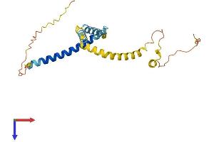 AlphaFold protein structure predicition of Mouse Recombinant Tpd52l2 Protein, UniprotID Q9CYZ2