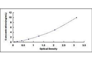 V-Crk Sarcoma Virus CT10 Oncogene Homolog (Avian)-Like (CRKL) ELISA Kit