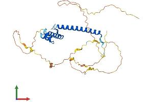 AlphaFold protein structure predicition of Human Recombinant NEUROD4 Protein, UniprotID Q9HD90