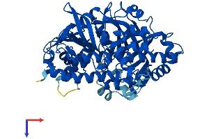 AlphaFold protein structure predicition of Human Recombinant RTCB Protein, UniprotID Q9Y3I0