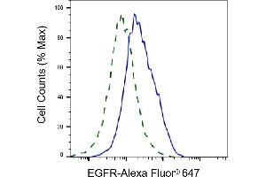 Validation of EGFR knockdown using flow cytometry. (Recombinant EGFR anticorps)