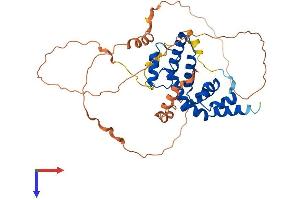 AlphaFold protein structure predicition of Human Recombinant RGS20 Protein, UniprotID O76081