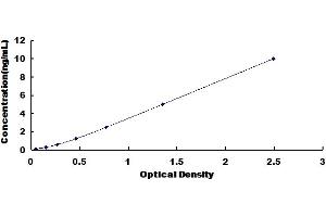 Typical Standard Curve for Rat CDK5 ELISA. (CDK5 Kit ELISA)