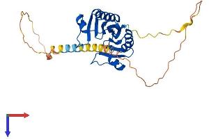 AlphaFold protein structure predicition of Mouse Recombinant Tbp Protein, UniprotID P29037