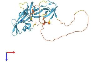 AlphaFold protein structure predicition of Human Recombinant CRKL Protein, UniprotID P46109