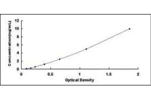 Typical standard curve (GATA5 Kit ELISA)