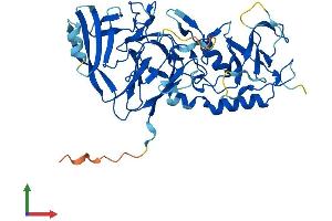 AlphaFold protein structure predicition of Mouse Recombinant Peli2 Protein, UniprotID Q8BST6