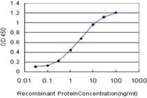 Detection limit for recombinant GST tagged CDK8 is approximately 0. (CDK8 anticorps  (AA 375-464))