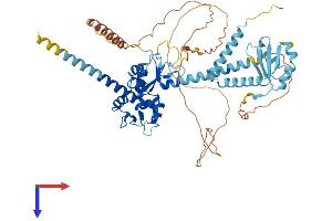 AlphaFold protein structure predicition of Human Recombinant LARP7 Protein, UniprotID Q4G0J3
