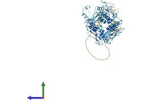 AlphaFold protein structure predicition of Human Recombinant ZNF14 Protein, UniprotID P17017