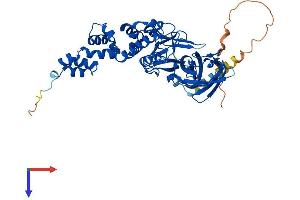 AlphaFold protein structure predicition of Mouse Recombinant Fbxo3 Protein, UniprotID Q9DC63