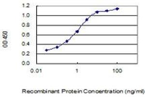 Detection limit for recombinant GST tagged BRI3BP is 0. (BRI3BP anticorps  (AA 1-251))