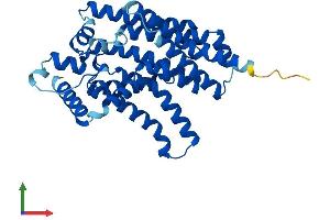 AlphaFold protein structure predicition of Mouse Recombinant G6pc3 Protein, UniprotID Q6NSQ9