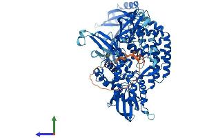 AlphaFold protein structure predicition of Mouse Recombinant Top3b Protein, UniprotID Q9Z321