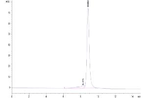 The purity of Biotinylated Cynomolgus IL-2 R beta is greater than 90 % as determined by SEC-HPLC.