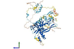 AlphaFold protein structure predicition of Mouse Recombinant Fbxo40 Protein, UniprotID P62932