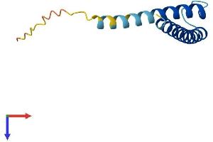 AlphaFold protein structure predicition of Human Recombinant TIMM13 Protein, UniprotID Q9Y5L4