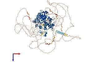 AlphaFold protein structure predicition of Human Recombinant PHF8 Protein, UniprotID Q9UPP1