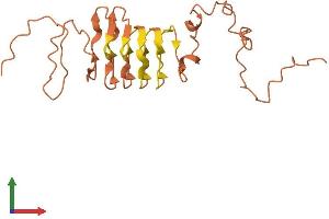AlphaFold protein structure predicition of Mouse Recombinant Krtap5-2 Protein, UniprotID Q9D5Z7