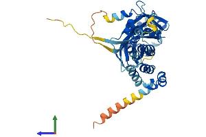 AlphaFold protein structure predicition of Mouse Recombinant Tdpoz2 Protein, UniprotID Q717B2