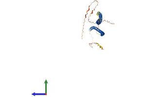 AlphaFold protein structure predicition of Mouse Recombinant Krt35 Protein, UniprotID Q497I4