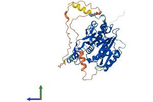 AlphaFold protein structure predicition of Human Recombinant B3GALT2 Protein, UniprotID O43825