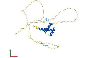 AlphaFold protein structure predicition of Human Recombinant ISX Protein, UniprotID Q2M1V0