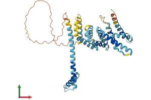 AlphaFold protein structure predicition of Mouse Recombinant Mei4 Protein, UniprotID Q8BRM6