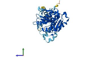 AlphaFold protein structure predicition of Mouse Recombinant Alg5 Protein, UniprotID Q9DB25