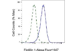 Validation of Flotillin 1 knockdown using flow cytometry.