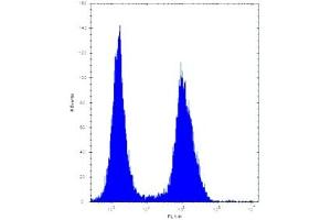 ASS1 antibody flow cytometric analysis of Jurkat cells (right histogram) compared to a negative control (left histogram).
