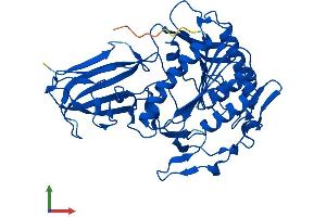 AlphaFold protein structure predicition of Human Recombinant ACOT4 Protein, UniprotID Q8N9L9