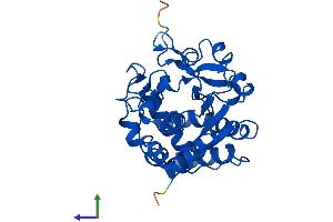 AlphaFold protein structure predicition of Mouse Recombinant Sult1b1 Protein, UniprotID Q9QWG7
