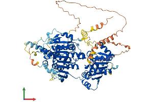 AlphaFold protein structure predicition of Human Recombinant UTP25 Protein, UniprotID Q68CQ4