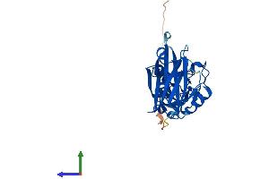 AlphaFold protein structure predicition of Human Recombinant SIAH1 Protein, UniprotID Q8IUQ4