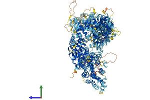 AlphaFold protein structure predicition of Human Recombinant TARBP1 Protein, UniprotID Q13395
