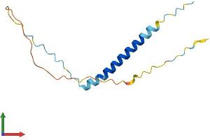 AlphaFold protein structure predicition of Mouse Recombinant Tceal8 Protein, UniprotID Q9CZY2