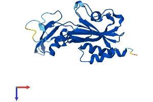 AlphaFold protein structure predicition of Human Recombinant NUDT14 Protein, UniprotID O95848