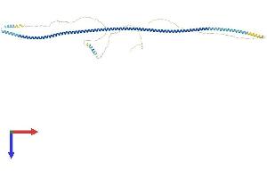 AlphaFold protein structure predicition of Human Recombinant TXLNA Protein, UniprotID P40222