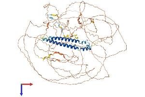 AlphaFold protein structure predicition of Human Recombinant SAP130 Protein, UniprotID Q9H0E3