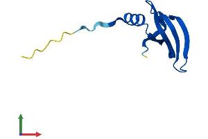 AlphaFold protein structure predicition of Mouse Recombinant Snrpe Protein, UniprotID P62305