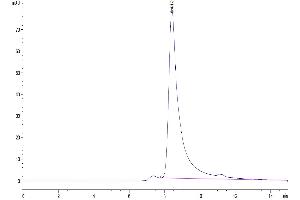 The purity of Cynomolgus FAP is greater than 95 % as determined by SEC-HPLC.