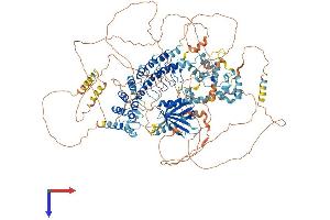 AlphaFold protein structure predicition of Human Recombinant ANKS1B Protein, UniprotID Q7Z6G8