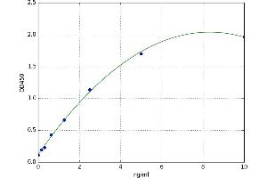 POU Class 5 Homeobox 1 (POU5F1) ELISA Kit