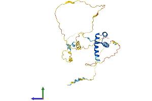 AlphaFold protein structure predicition of Human Recombinant PDX1 Protein, UniprotID P52945