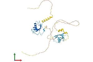 AlphaFold protein structure predicition of Human Recombinant DCX Protein, UniprotID O43602