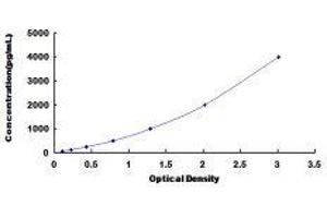 Mucin 3A, Cell Surface Associated (MUC3A) ELISA Kit
