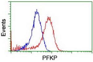 Flow cytometric Analysis of Hela cells, using anti-PFKP antibody (ABIN2455344), (Red), compared to a nonspecific negative control antibody, (Blue). (PFKP anticorps)