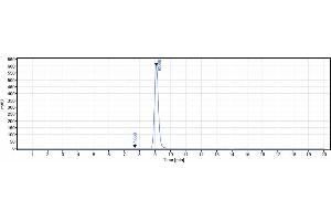 anti-IL9 (Enokizumab Biosimilar) antibody