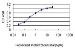 Detection limit for recombinant GST tagged NMI is approximately 0. (NMI anticorps  (AA 1-100))